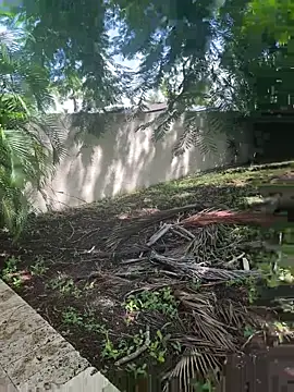 Snapshot of JohnnyBigShot chatting on 09-28-25, 03:50 JohnnyBigShot online show from 09-28-25, 03:50