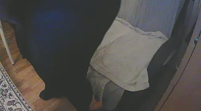 szadamo online show from 12-11-24, 04:53