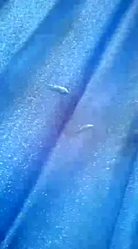 Luismiguel55 online show from 03-08-25, 10:11