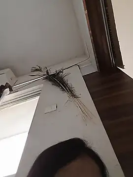 Snapshot of Manjushri35 chatting on 02-14-25, 04:47 Manjushri35 online show from 02-14-25, 04:47