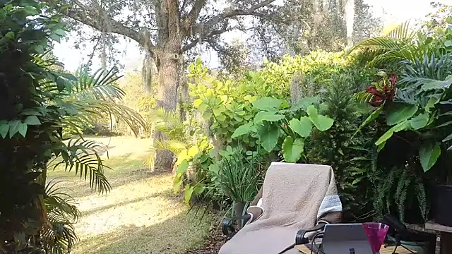 Snapshot of eliberator1777 chatting on 01-31-25, 09:37 eliberator1777 online show from 01-31-25, 09:37