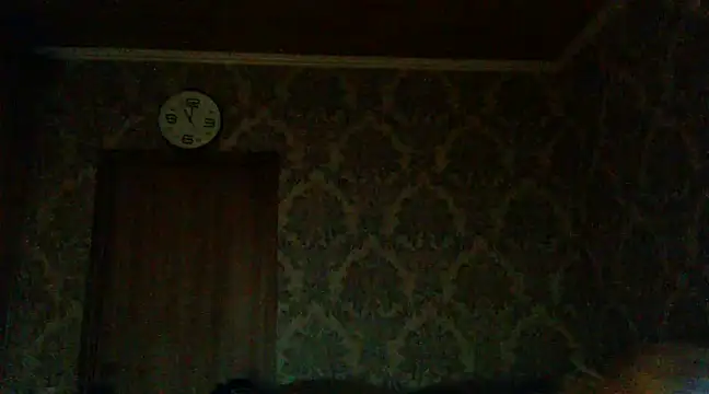 WildMissNiks online show from 12-02-24, 09:02