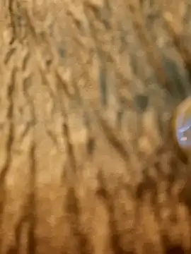 Snapshot of Dirtyfeelin chatting on 02-13-25, 11:28 Dirtyfeelin online show from 02-13-25, 11:28