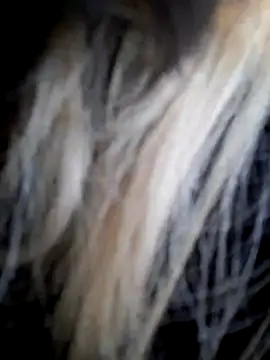 Snapshot of Dirtyfeelin chatting on 12-14-25, 11:59 Dirtyfeelin online show from 12-14-25, 11:59