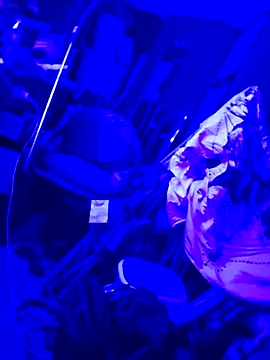 justinewe69 online show from 09-23-25, 03:31