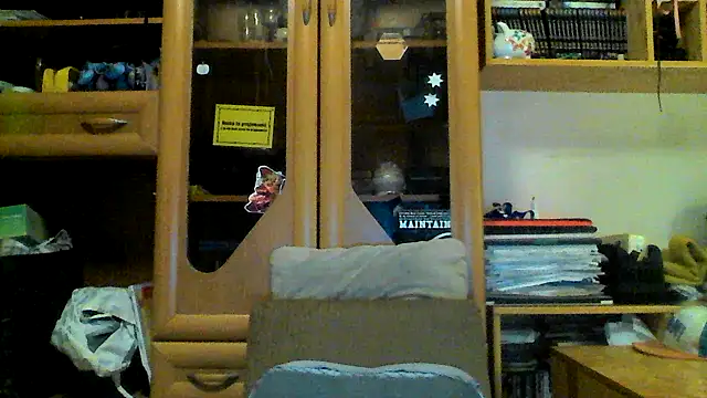 Snapshot of FireFox_Feel chatting on 03-20-25, 08:29 FireFox Feel online show from 03-20-25, 08:29