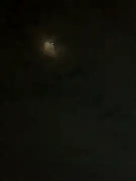 Snapshot of jesusthedonkey chatting on 11-30-25, 01:31 jesusthedonkey online show from 11-30-25, 01:31