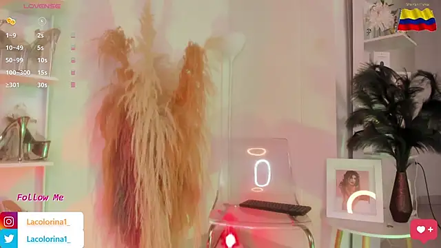 Snapshot of LaColorina_ chatting on 11-05-25, 04:07 LaColorina online show from 11-05-25, 04:07