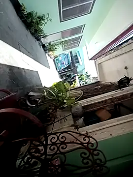 TropicalFlower online show from 10-16-25, 01:06