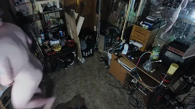 sex4fun 21 online show from 03-12-25, 04:41