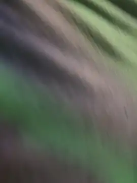 Snapshot of K100x chatting on 11-15-25, 02:31 K100x online show from 11-15-25, 02:31