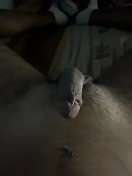 mamoubz online show from 11-03-25, 11:04