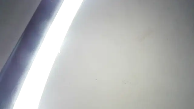 RinsingWood84 online show from 03-04-26, 09:21