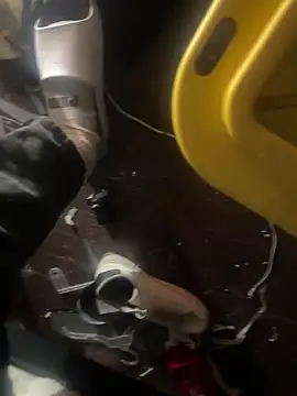 Snapshot of Exclusivenutxxx chatting on 01-23-25, 06:56 Exclusivenutxxx online show from 01-23-25, 06:56