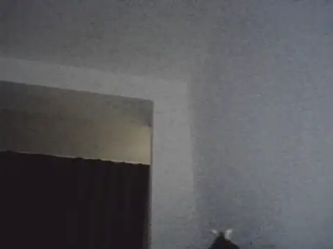 FallenDevil online show from 03-13-26, 07:09