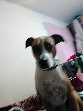 Snapshot of JoLeNe27 chatting on 10-06-25, 04:54 JoLeNe27 online show from 10-06-25, 04:54