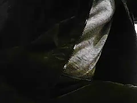 papiculo86 online show from 01-29-25, 09:33