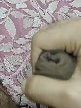 Snapshot of rockkyy9 chatting on 10-11-25, 04:01 rockkyy9 online show from 10-11-25, 04:01