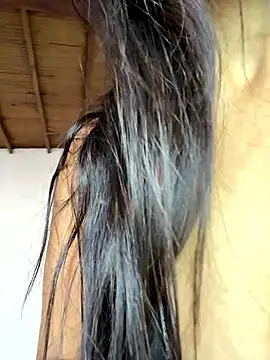 pleasureMyAss- online show from 01-17-26, 05:27