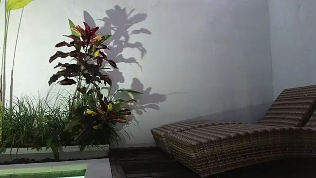 TammiLou online show from 03-06-25, 10:52