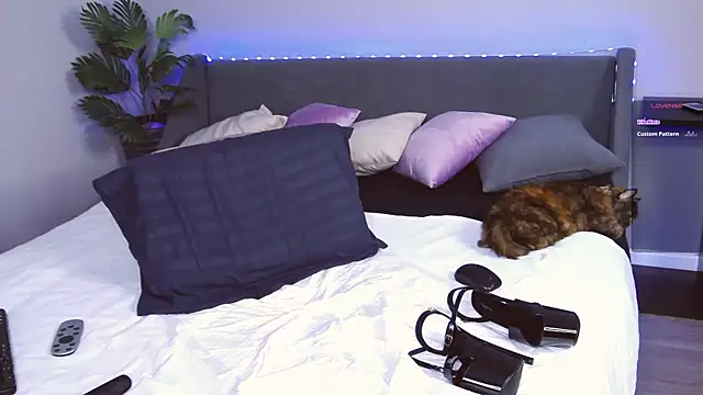 EvaMoses online show from 02-28-25, 02:09