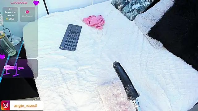 angiee roses online show from 12-17-24, 02:44