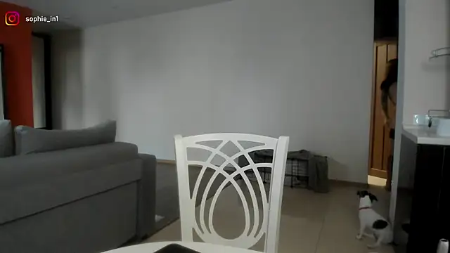  in yan online show from 02-18-26, 03:57