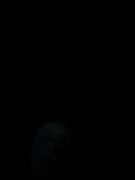 Snapshot of dropmoney chatting on 12-01-25, 05:01 dropmoney online show from 12-01-25, 05:01