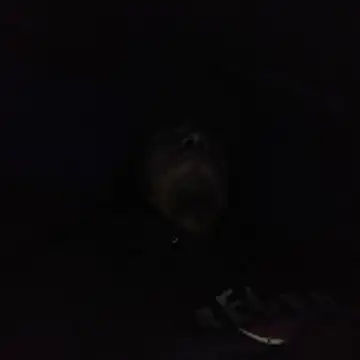 AlexAlejandro13 online show from 02-03-26, 06:40