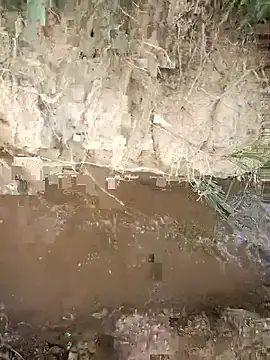 FinableKnee online show from 10-23-25, 03:50