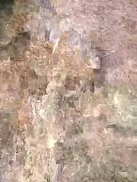 FinableKnee online show from 04-24-26, 01:08