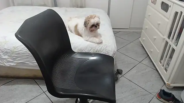 MysterBearMG online show from 11-25-25, 12:32