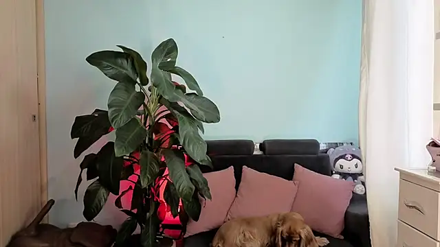 melisa es online show from 02-05-26, 02:54