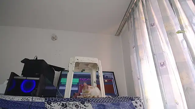 eolicasex online show from 02-01-25, 07:44