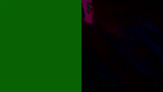 PUSSYundBAER online show from 12-21-25, 01:57