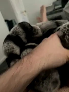 Furdale online show from 12-03-24, 11:33