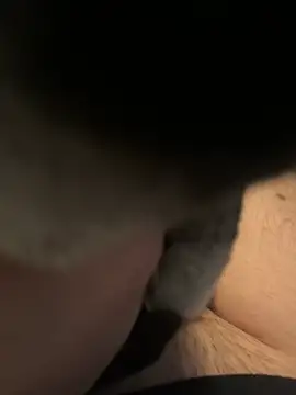 Furdale online show from 12-16-24, 01:11