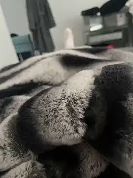 Furdale online show from 12-18-24, 11:56