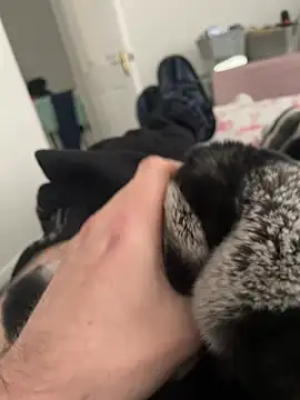 Furdale online show from 12-19-24, 01:07