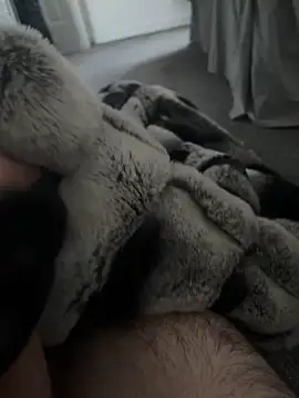 Furdale online show from 01-07-25, 10:43