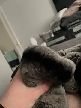 Furdale online show from 02-10-25, 01:55