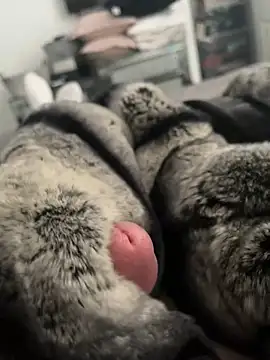 Furdale online show from 02-26-25, 12:58