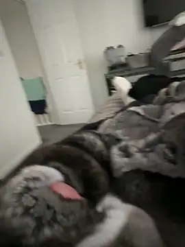 Furdale online show from 09-22-25, 04:20