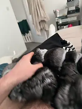 Furdale online show from 03-07-26, 03:42