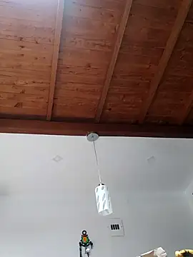 shelby kutter online show from 03-02-25, 07:23