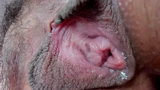 ms pickless online show from 01-27-25, 03:18