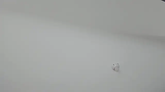 ms pickless online show from 01-30-25, 12:16