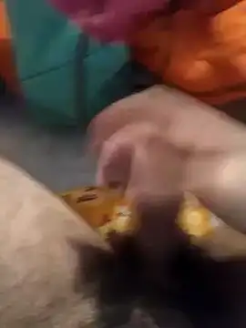 Snapshot of jon763 chatting on 01-10-25, 02:45 jon763 online show from 01-10-25, 02:45