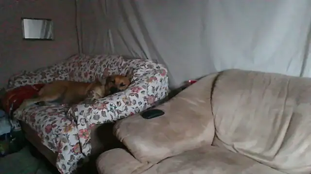 xykenrah48 online show from 03-18-26, 01:20