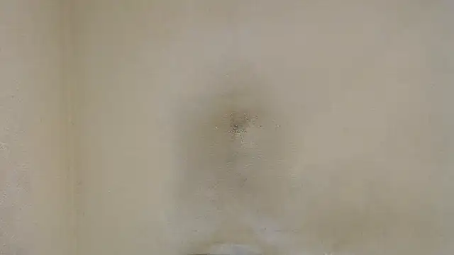 Snapshot of AlexNudo chatting on 01-30-25, 04:45 AlexNudo online show from 01-30-25, 04:45